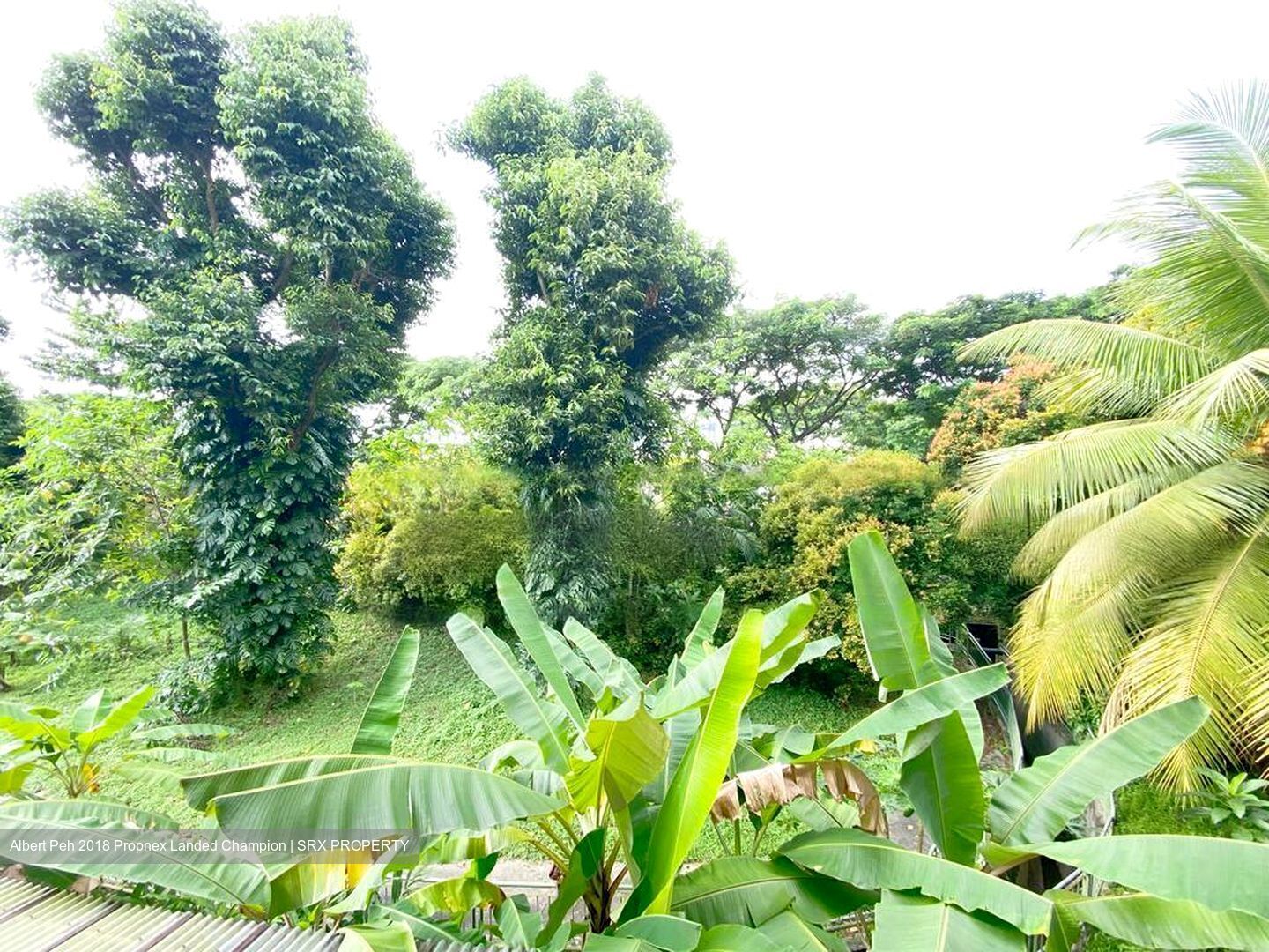 Pasir Panjang Road (D5), Detached #422567021